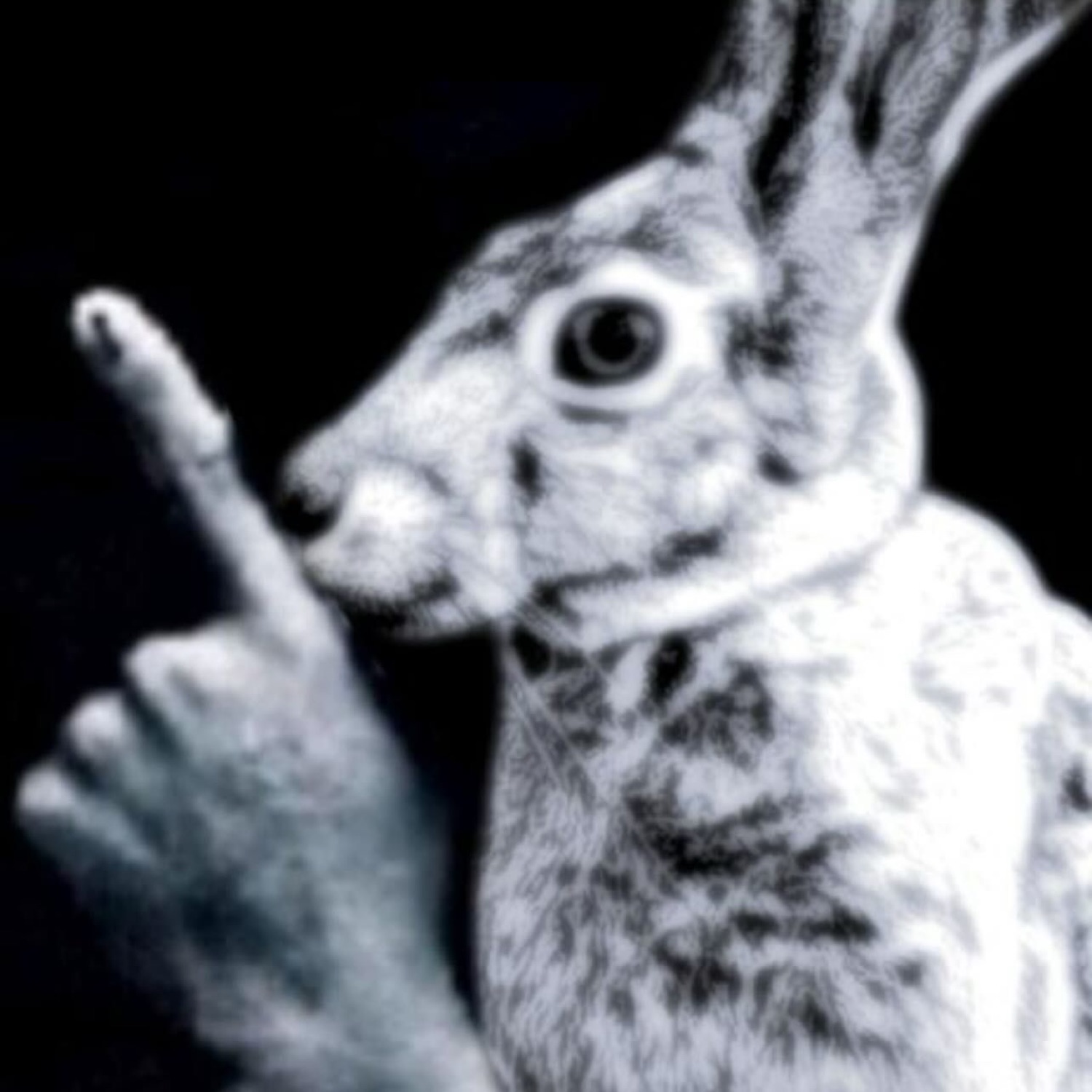 Inverted photo of a rabbit raising one paw like it just made a point