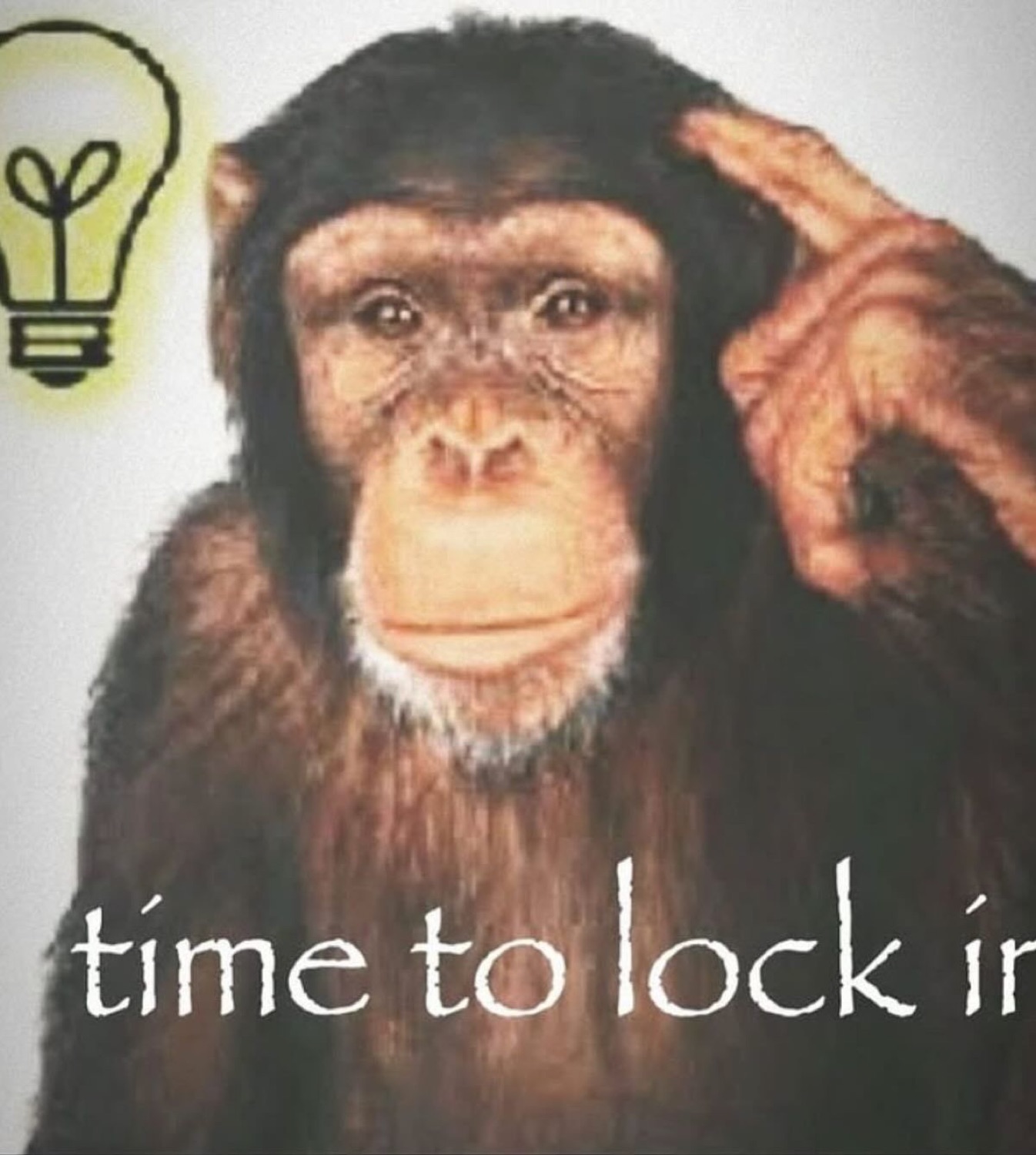 Chimpanzee tapping temple with a lightbulb and text 'time to lock in'