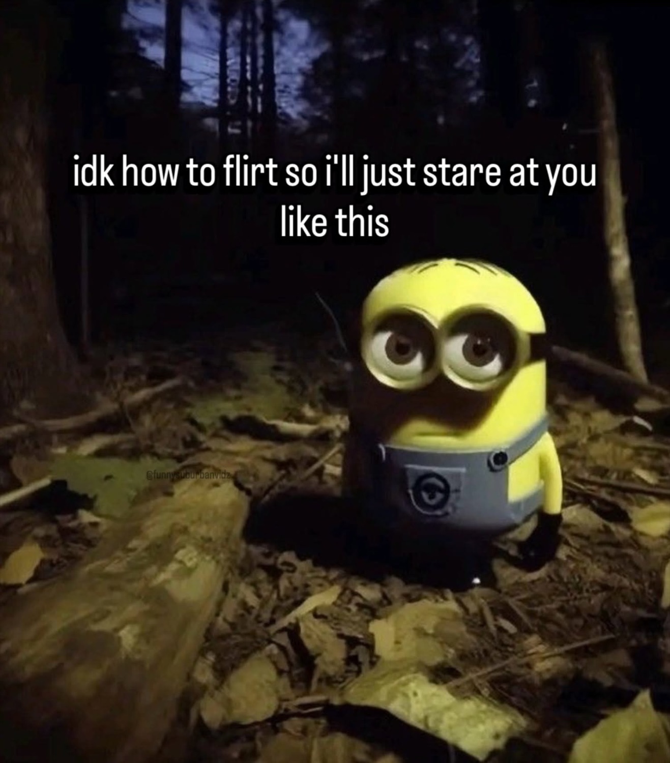 Minion toy standing in a dark forest staring intensely, 'idk how to flirt so i'll just stare'