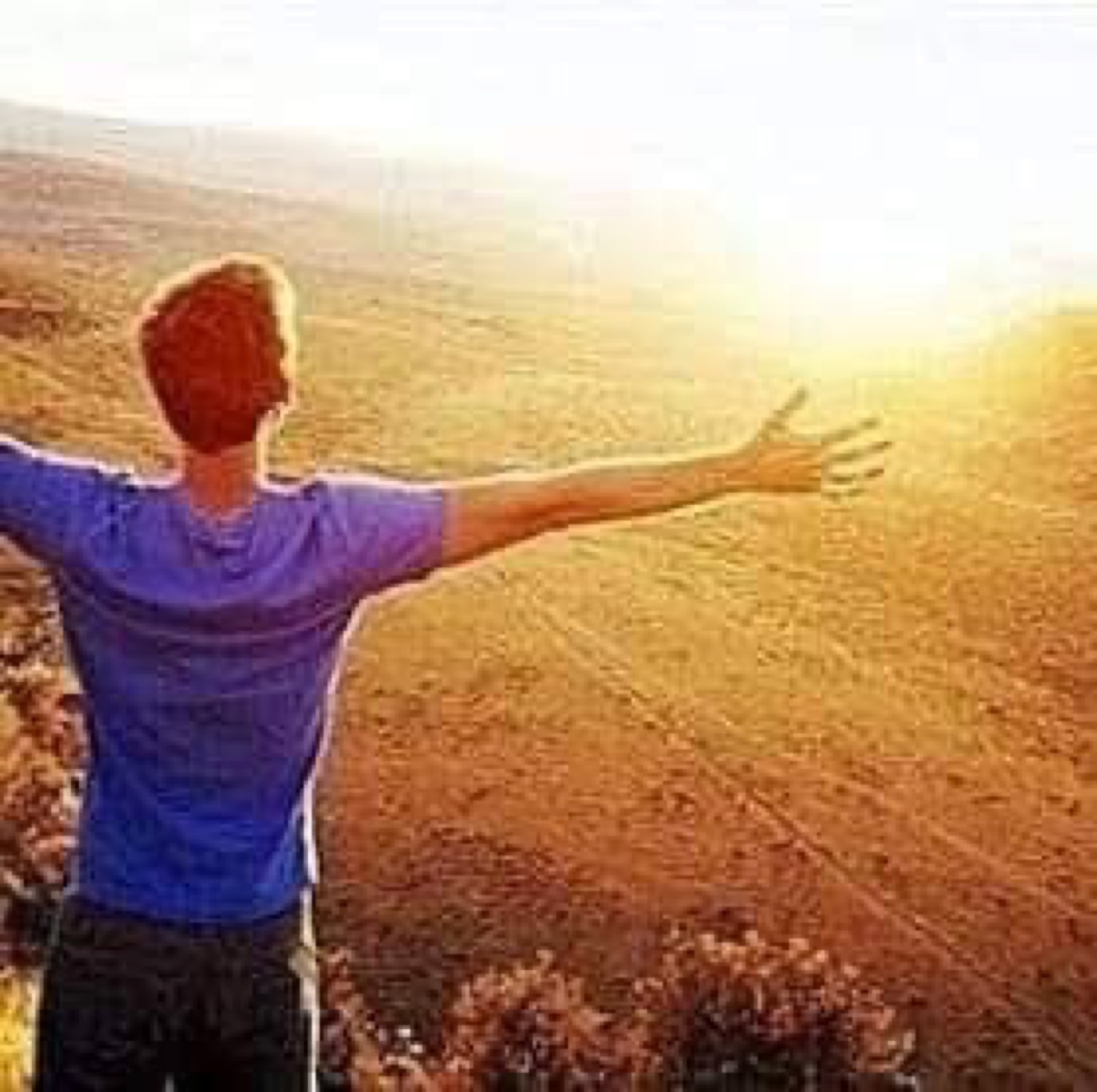 Guy from behind with arms flung wide toward a golden sunlit field, fully free