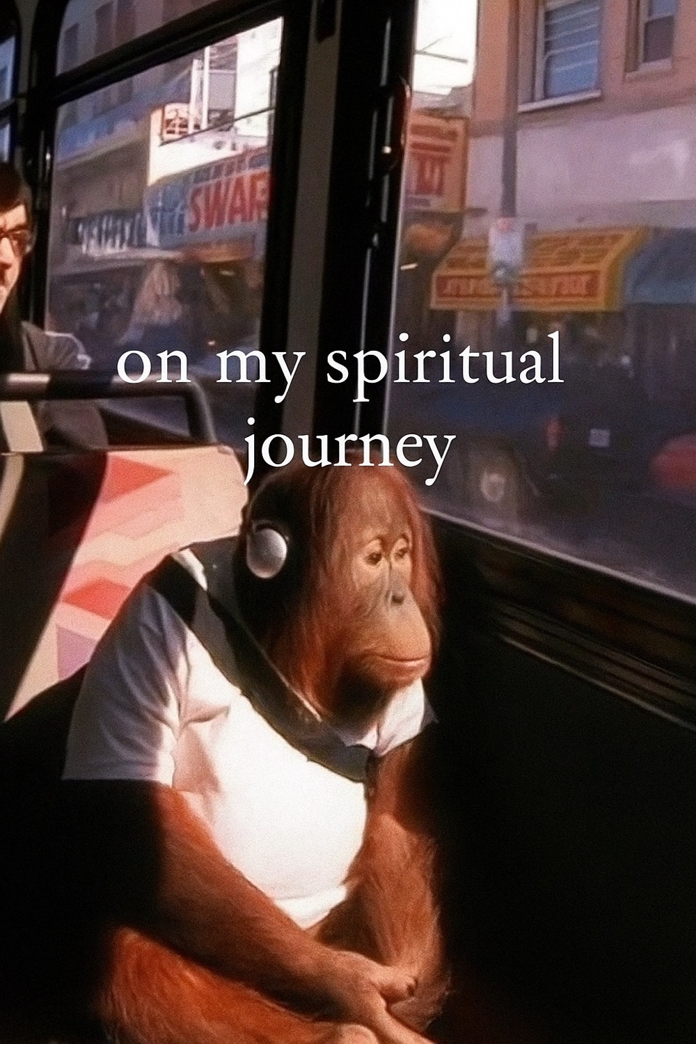 Orangutan in headphones on a bus: 'on my spiritual journey'