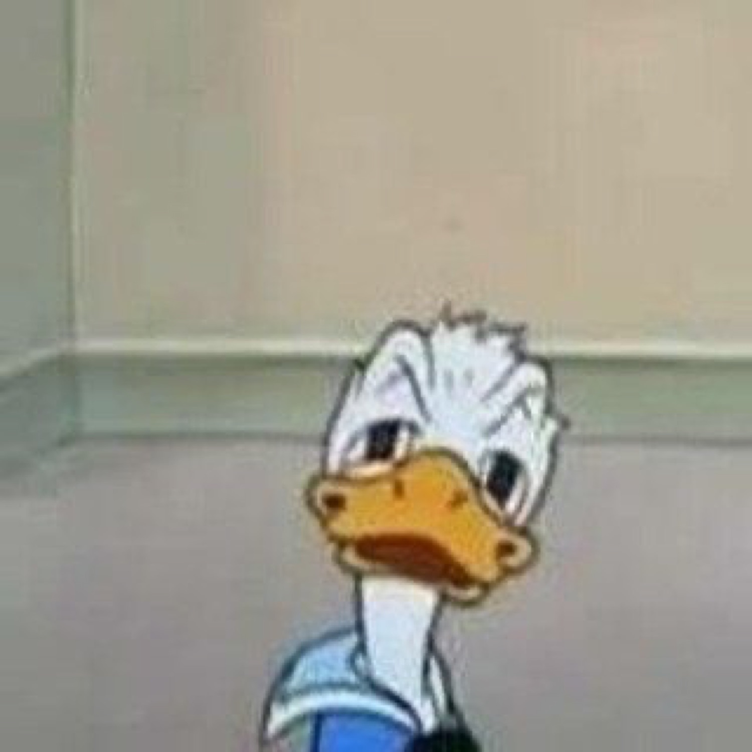 Donald Duck standing in a hallway with a deeply annoyed, unimpressed side glare