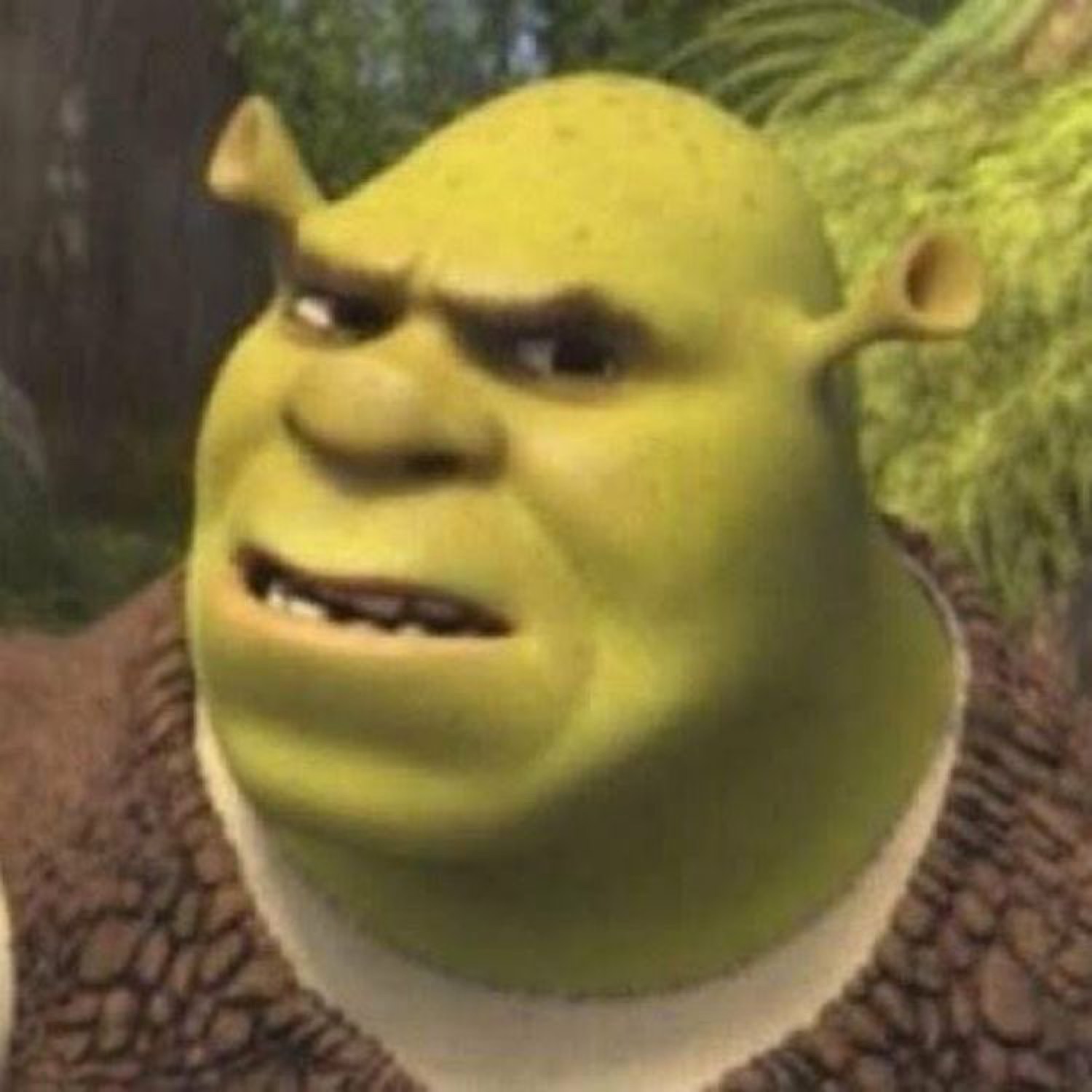 Shrek giving a narrowed side-eye glare with a barely-open mouth, deeply unimpressed