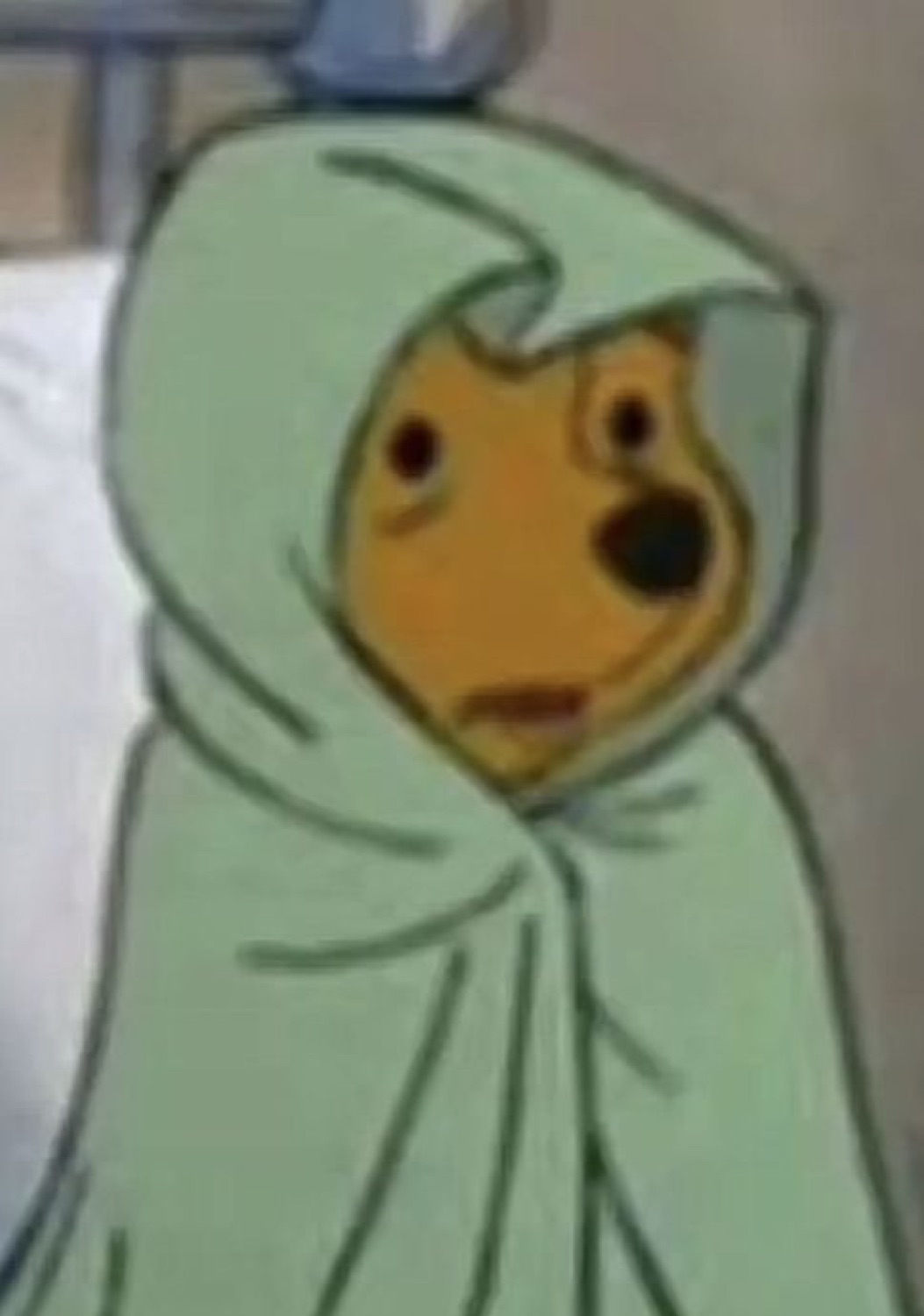 Cartoon bear bundled up in a green blanket with a small, glum, worried face