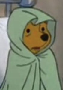 Cartoon bear bundled up in a green blanket with a small, glum, worried face