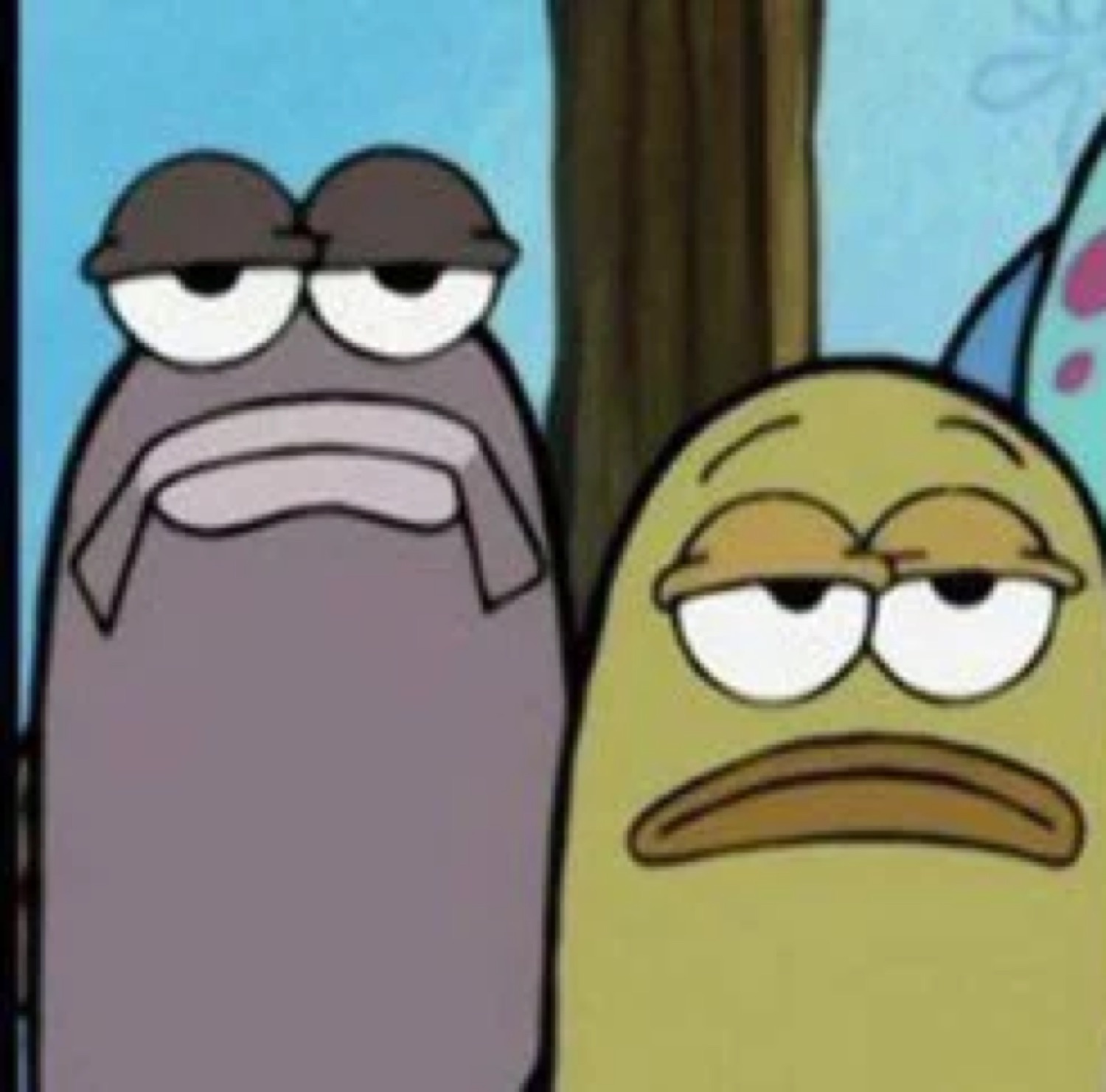 Two deeply unamused SpongeBob fish characters staring forward with droopy expressions