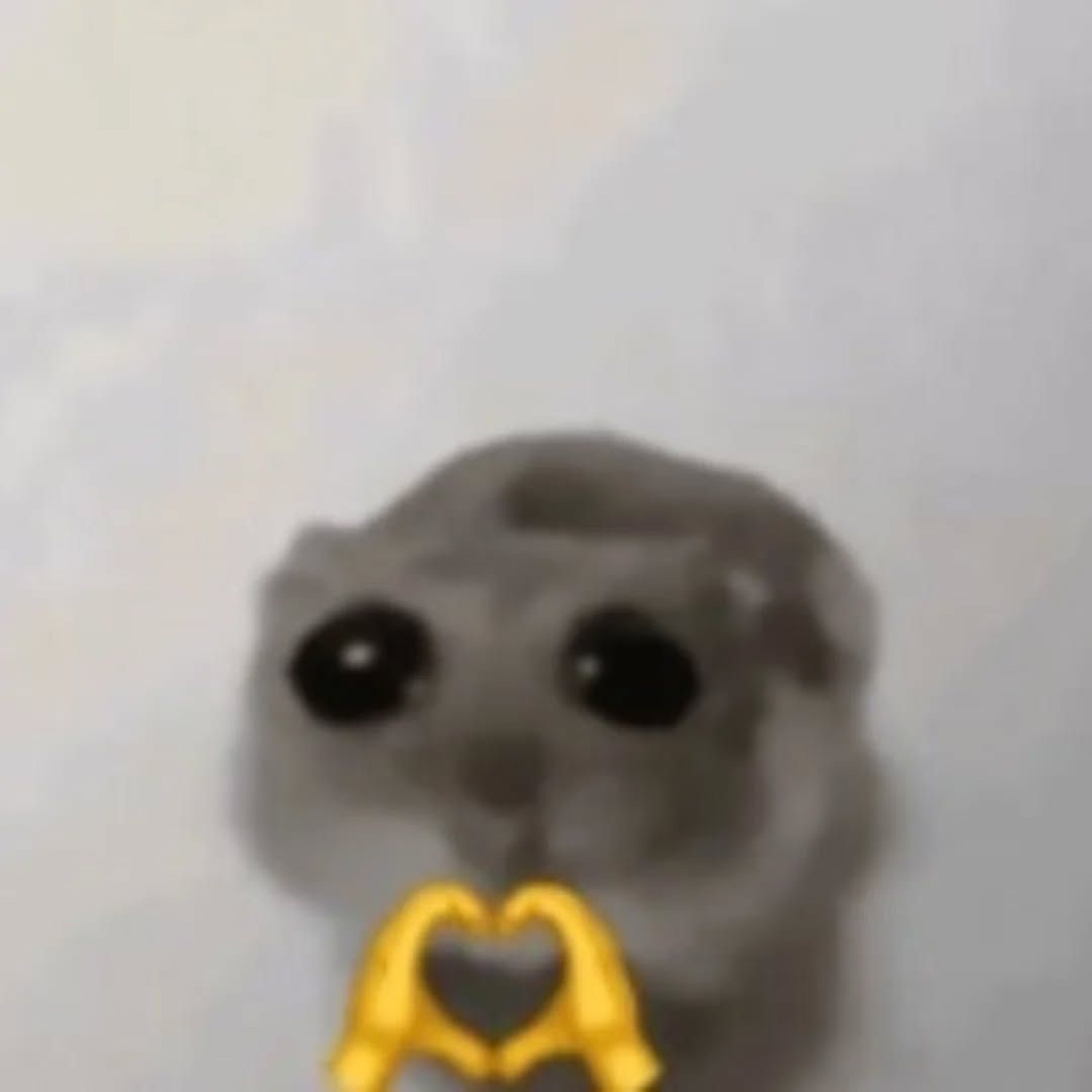 Blurry hamster making a tiny heart with emoji hands, full of love