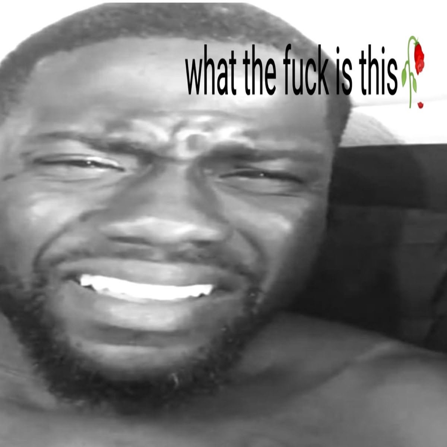 Man grimacing with scrunched face, captioned 'what the fuck is this' next to a wilting rose graphic