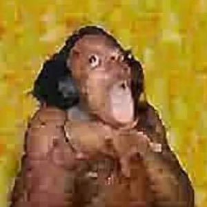 Pixelated cursed monkey creature with mouth agape in shock