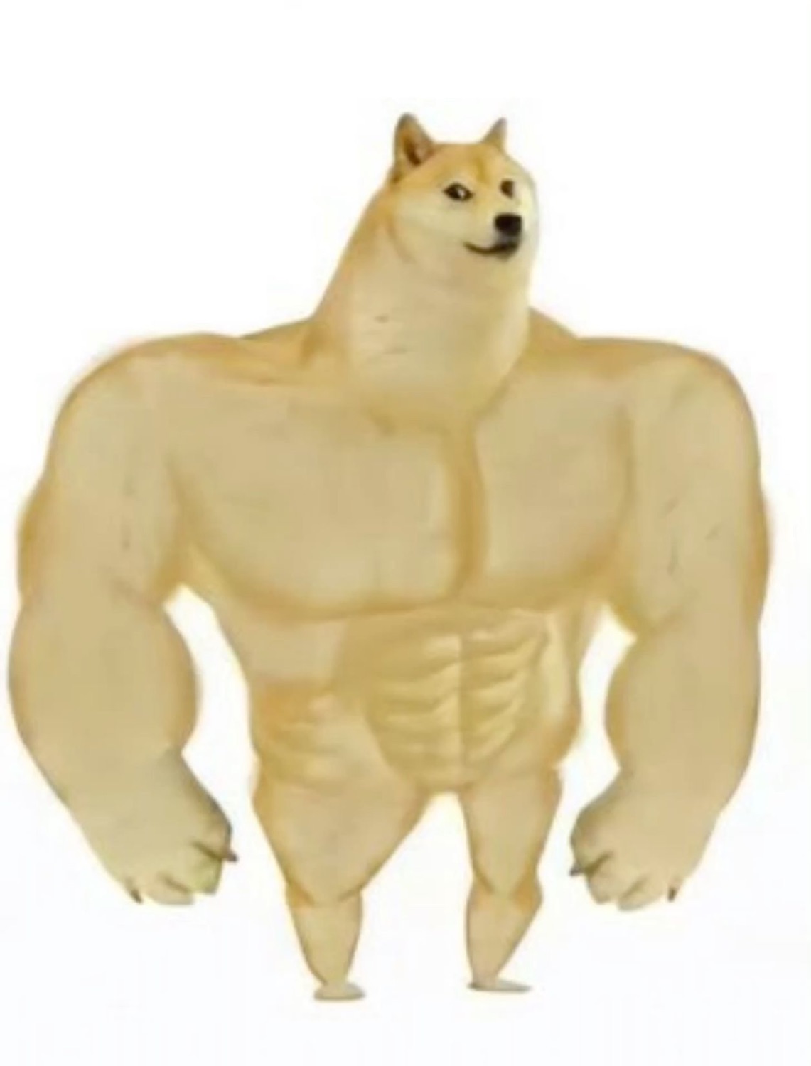 Swole Doge standing tall