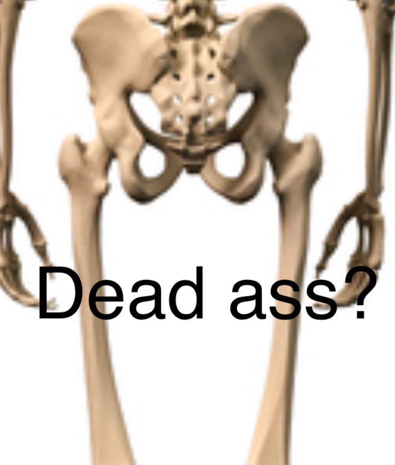Skeleton pelvis and legs asking 'Dead ass?'