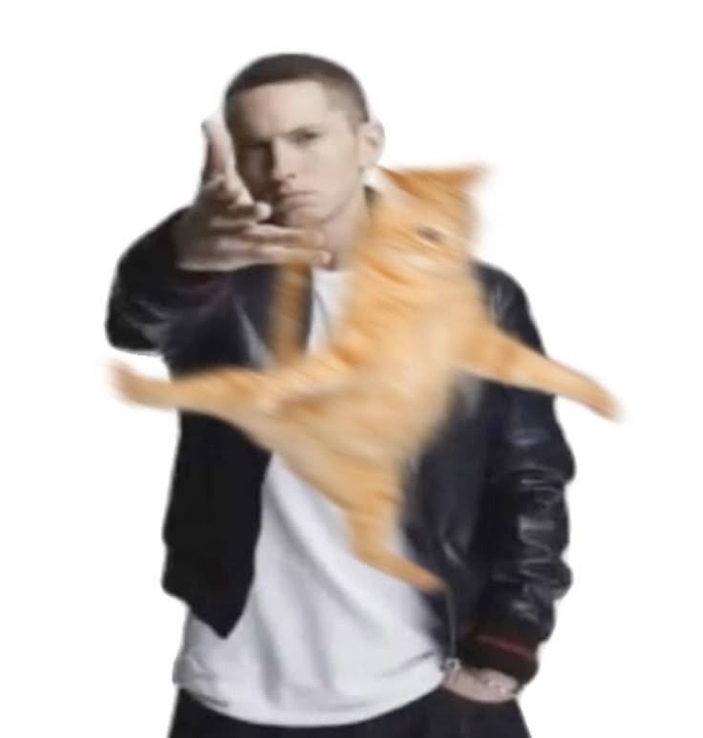 Eminem pointing at the camera with a photoshopped ginger cat merged into his jacket