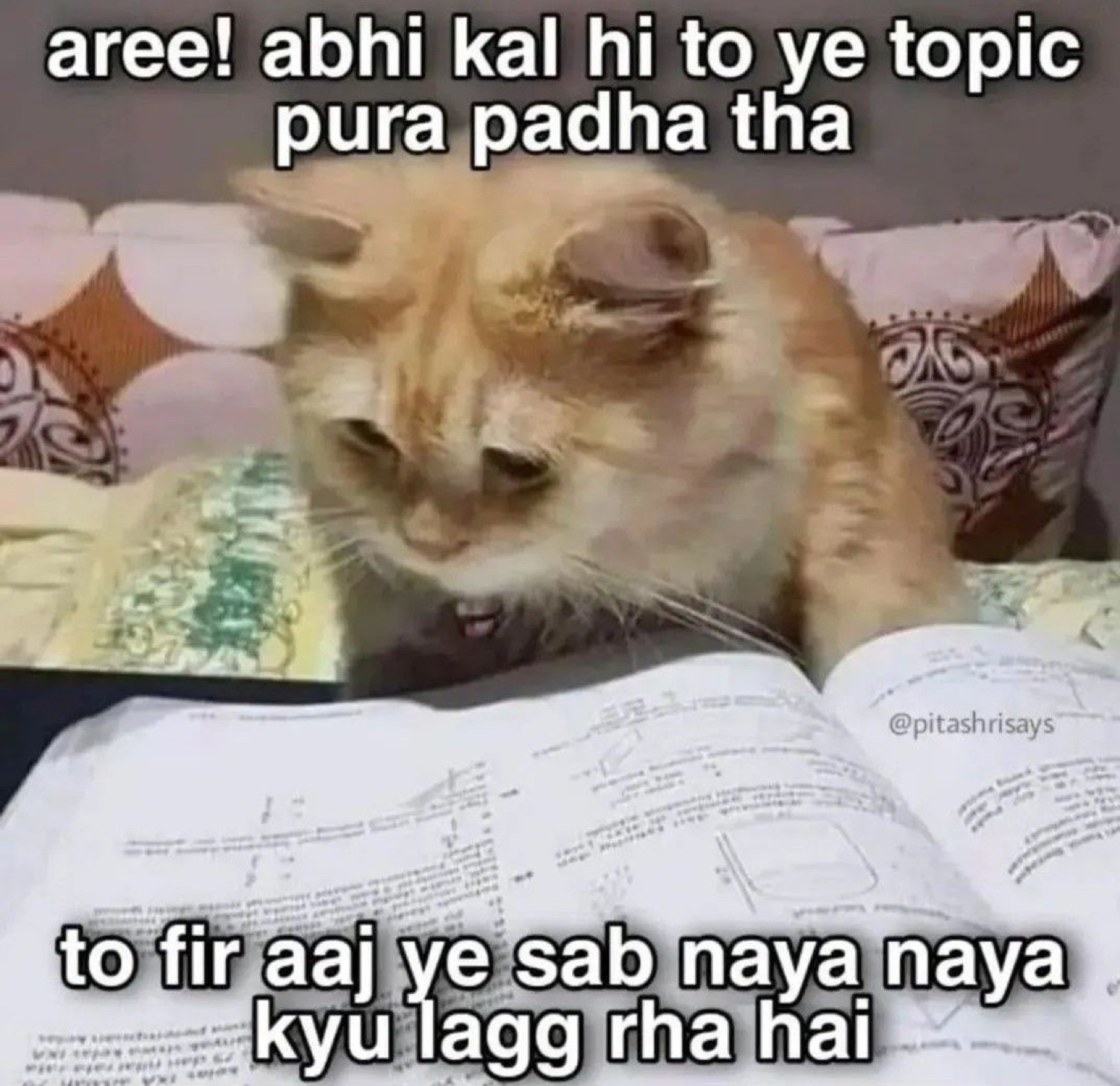 Cat peering at a textbook: 'aree! abhi kal hi to ye topic pura padha tha / to fir aaj ye sab naya naya kyu lagg rha hai' (studied this whole topic yesterday, why does it all look new today)