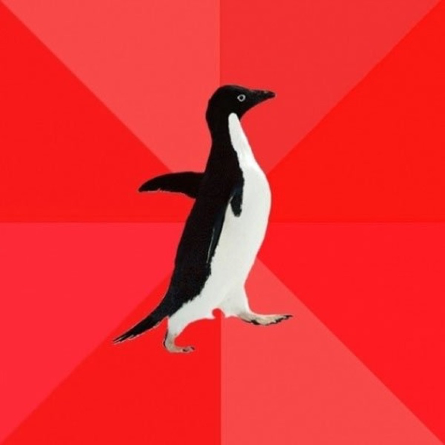 Socially Awkward Penguin waddling across a red diamond background