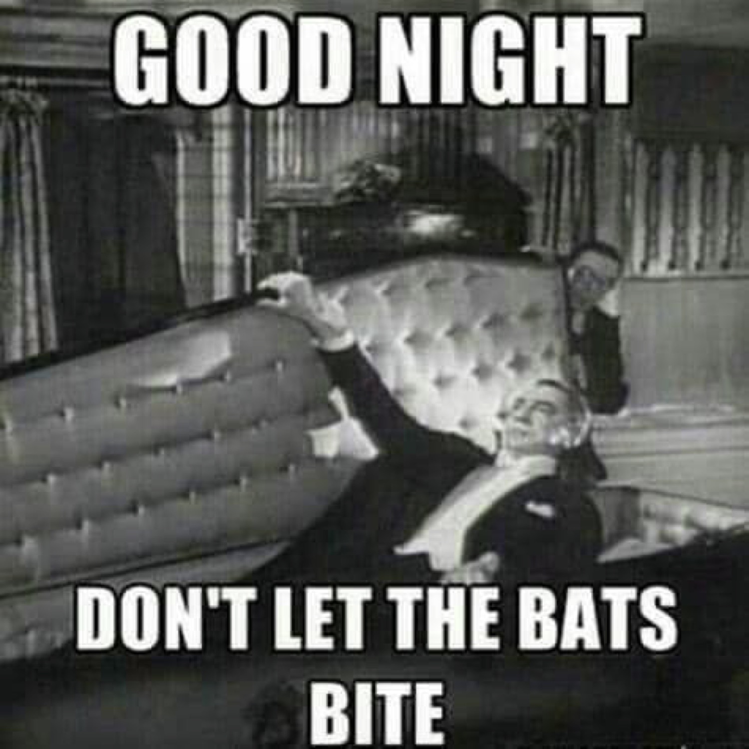 Dracula rising from a coffin: 'GOOD NIGHT / DON'T LET THE BATS BITE'