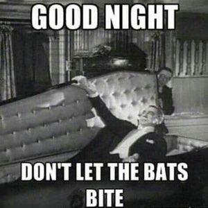 Dracula rising from a coffin: 'GOOD NIGHT / DON'T LET THE BATS BITE'