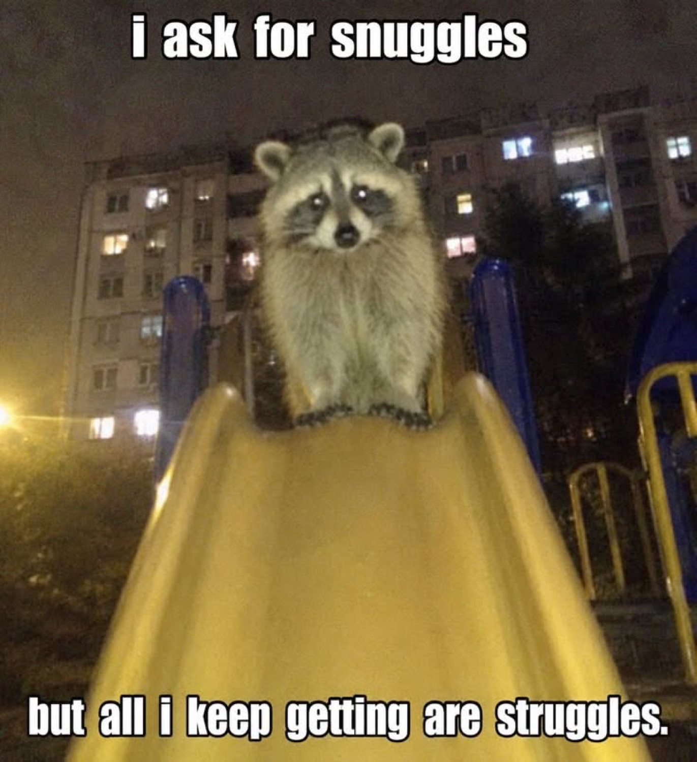 Raccoon sitting at the top of a playground slide at night under 'i ask for snuggles but all i keep getting are struggles.'