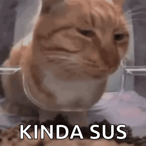 Cat squinting with a skeptical look, "Kinda sus"