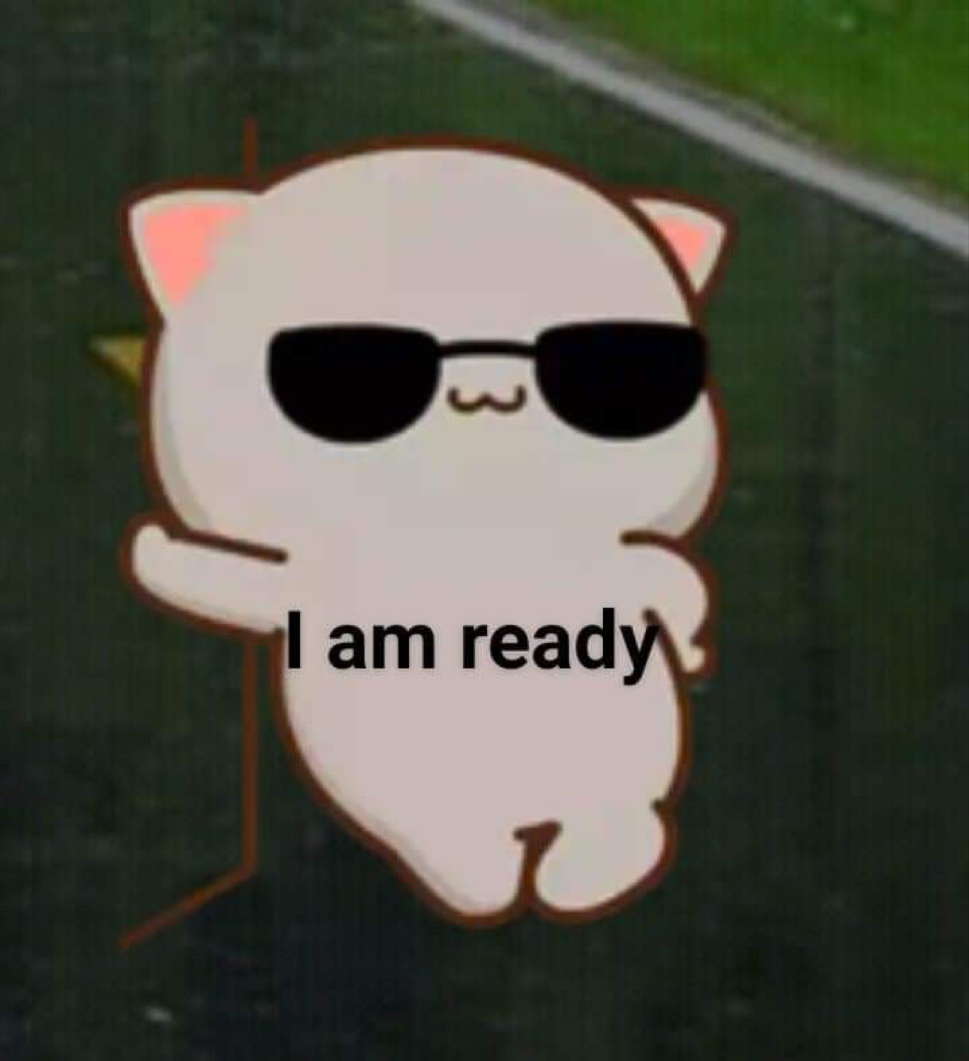 Cartoon cat in sunglasses: 'I am ready'