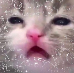 A teary-eyed kitten overlaid with floating math equations trying to figure it out