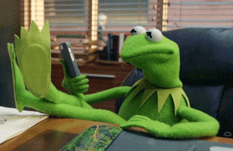 Kermit the Frog at a desk shaking his head no