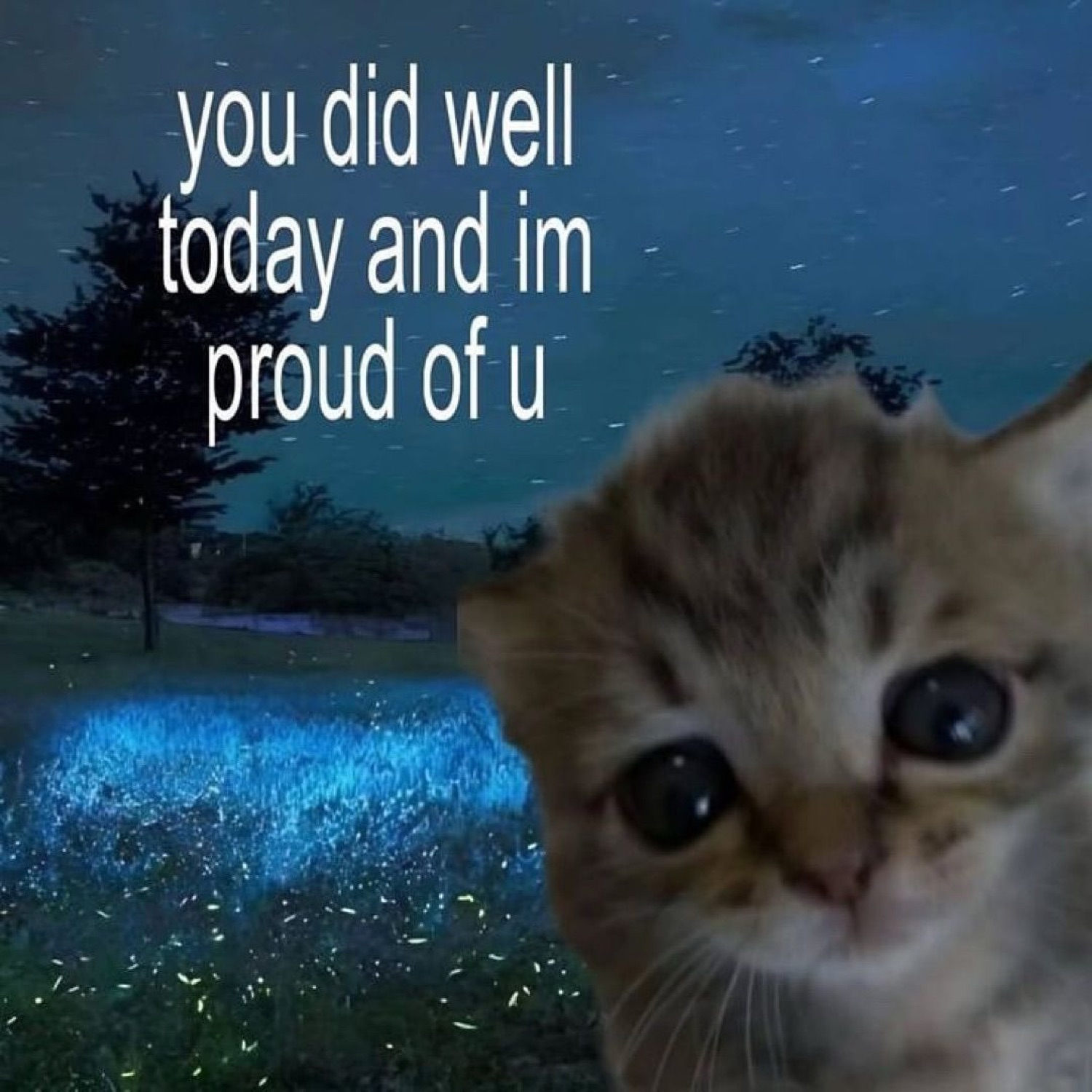 Sad-eyed kitten against a starry night backdrop, text says 'you did well today and im proud of u'