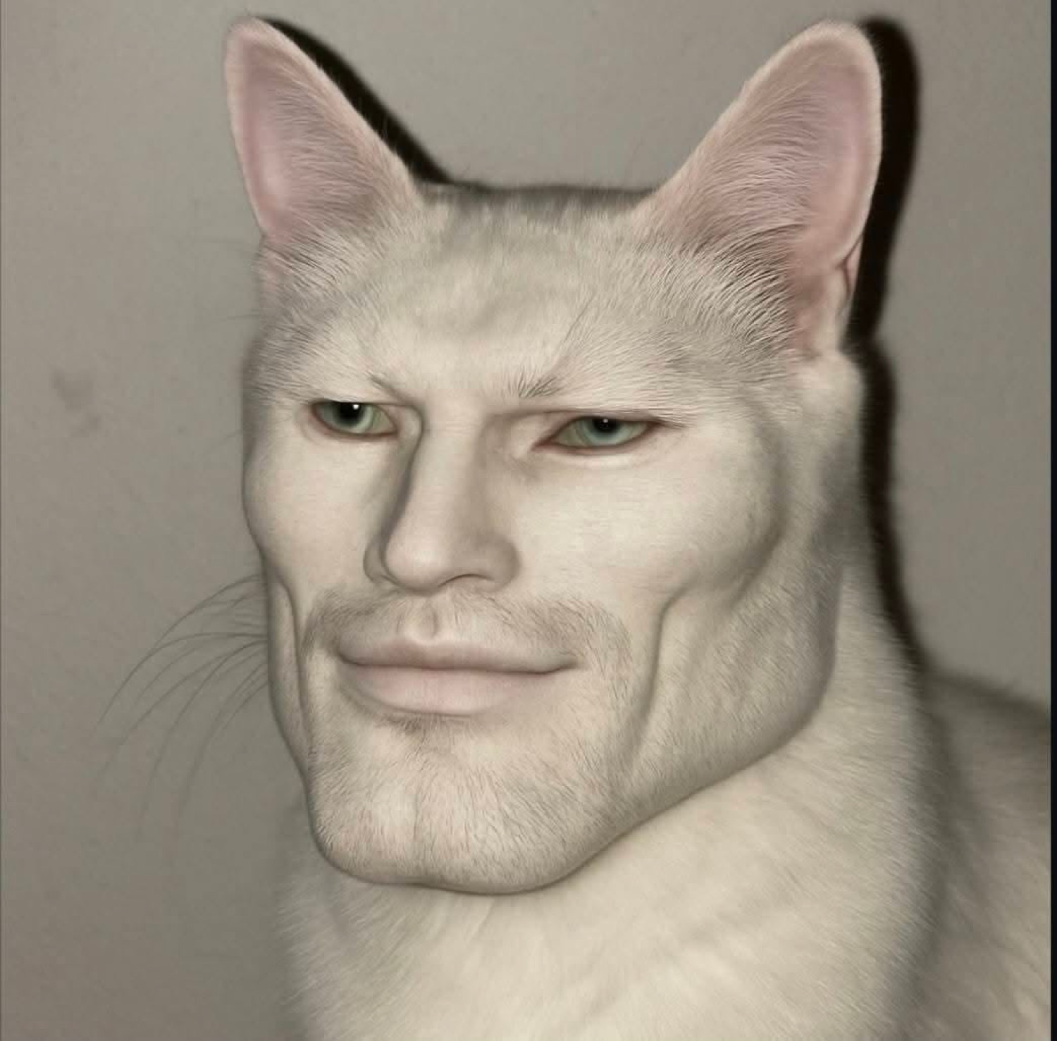 White cat edited with a chiseled human chad face and smug smile
