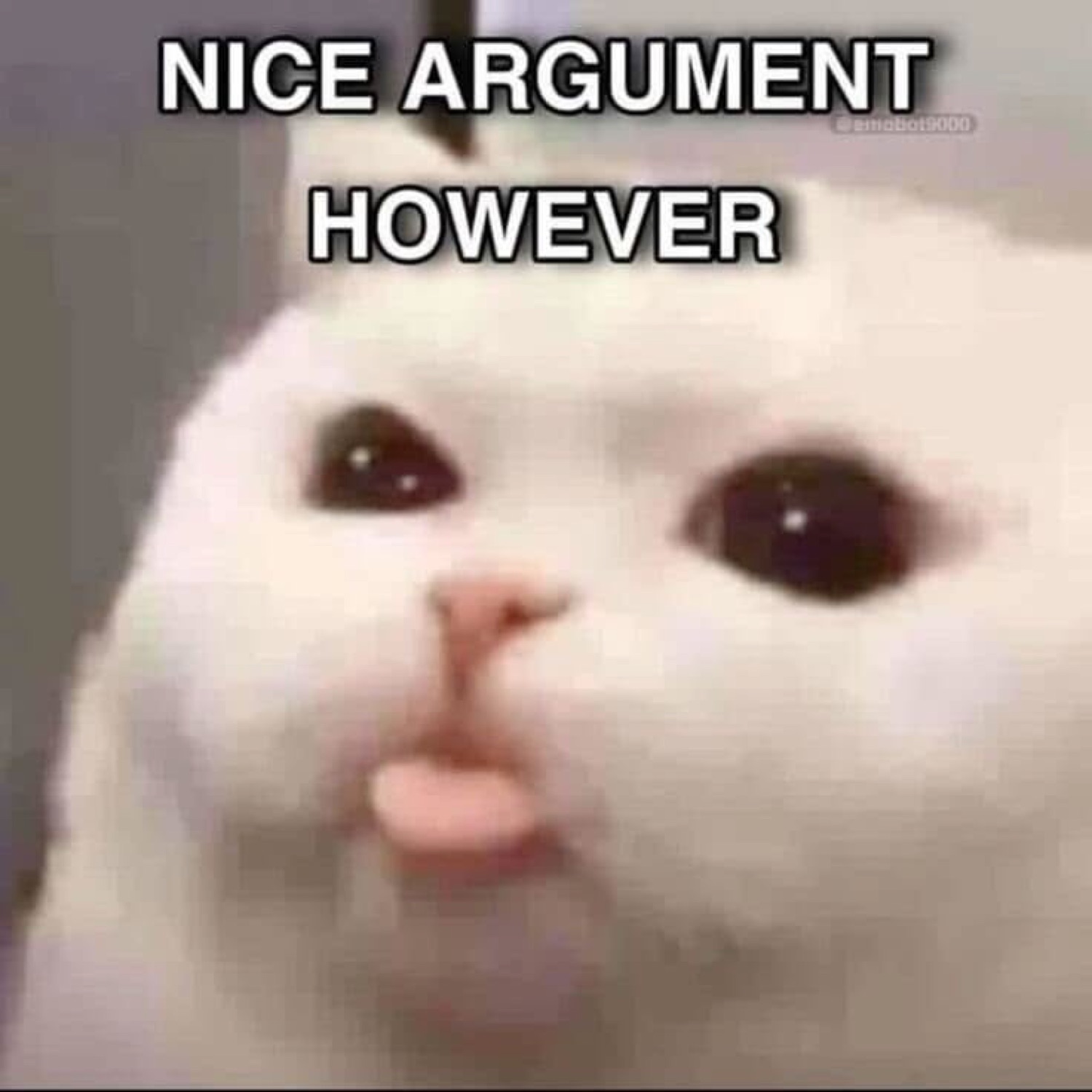 White cat with tongue slightly out, 'NICE ARGUMENT HOWEVER' stamped above — completely unbothered