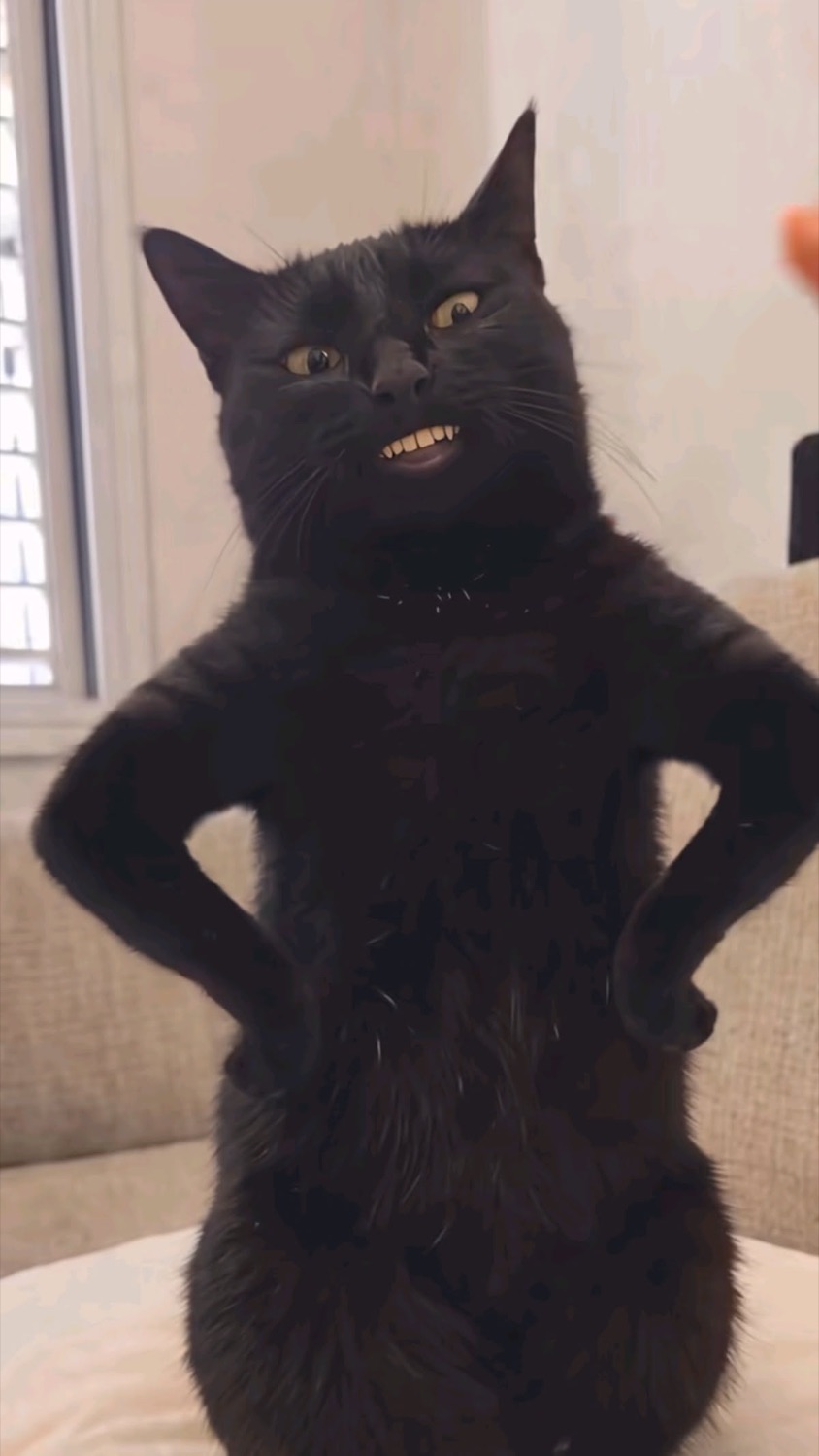 Black cat standing upright with paws on its hips and a grinning human-teeth smile, the clapping cat meme