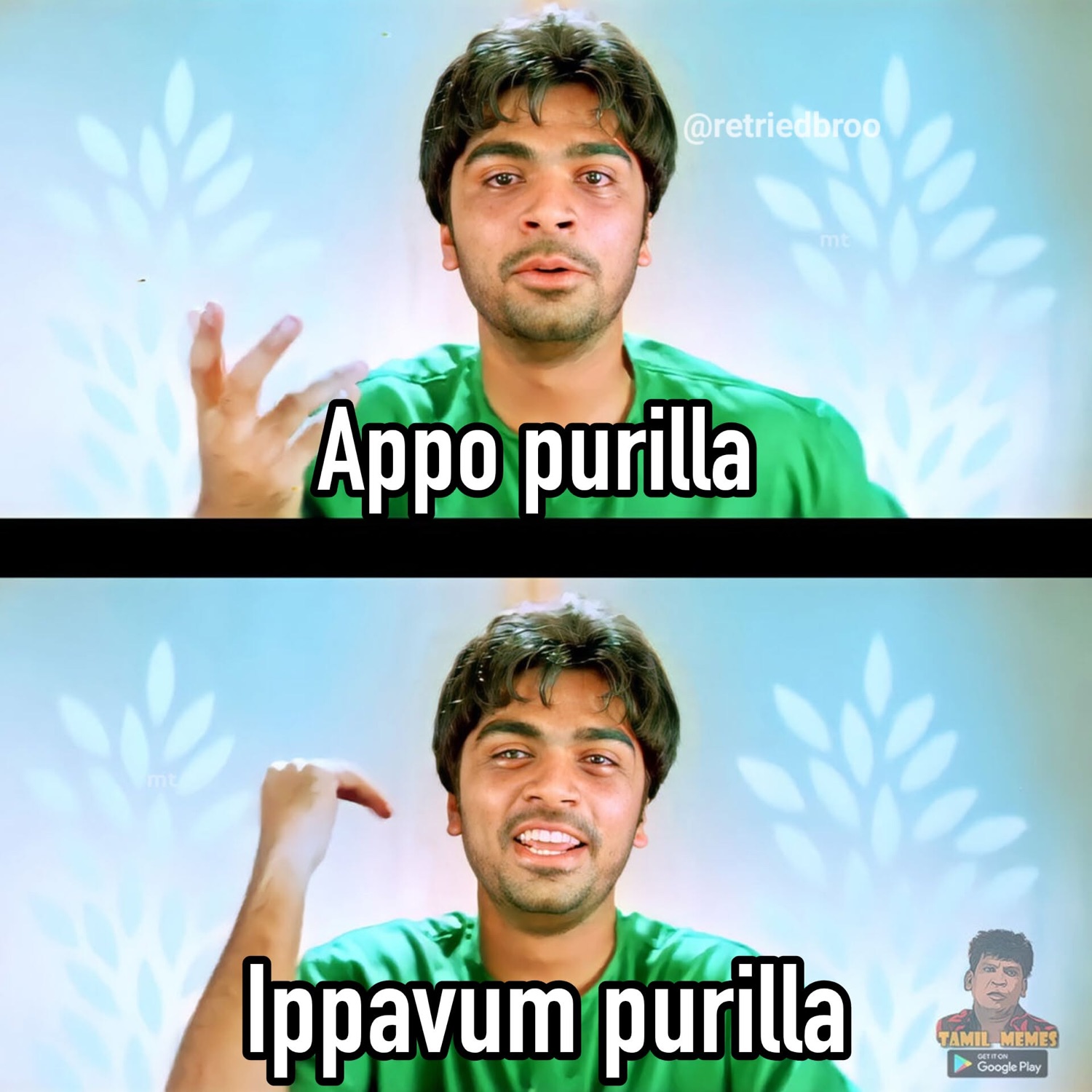 Two-panel man gesturing: 'Appo purilla / Ippavum purilla' (didn't understand then, still don't)