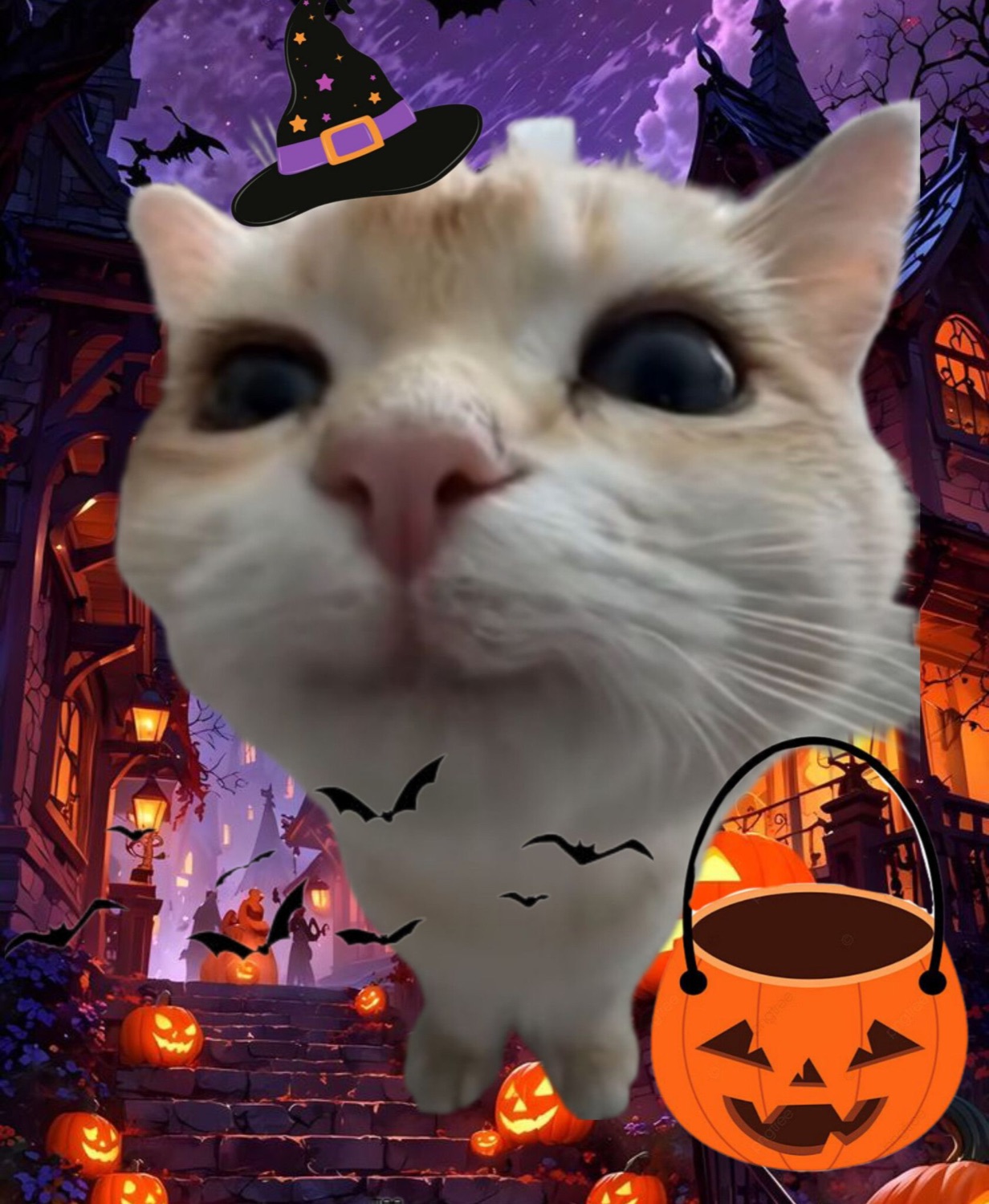 Wide-eyed cat in a witch hat with a jack-o-lantern bucket on a spooky Halloween street