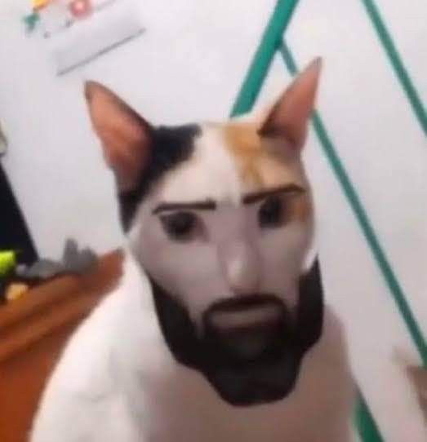 Calico cat edited with a chiseled bearded chad jaw