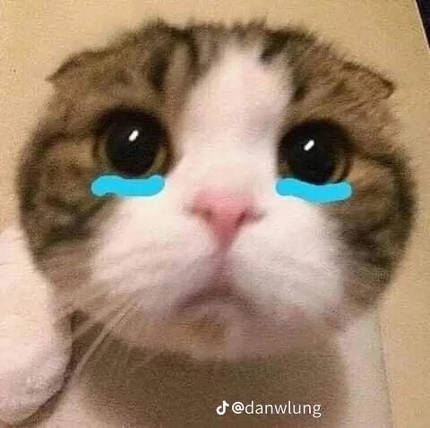 Sad cat