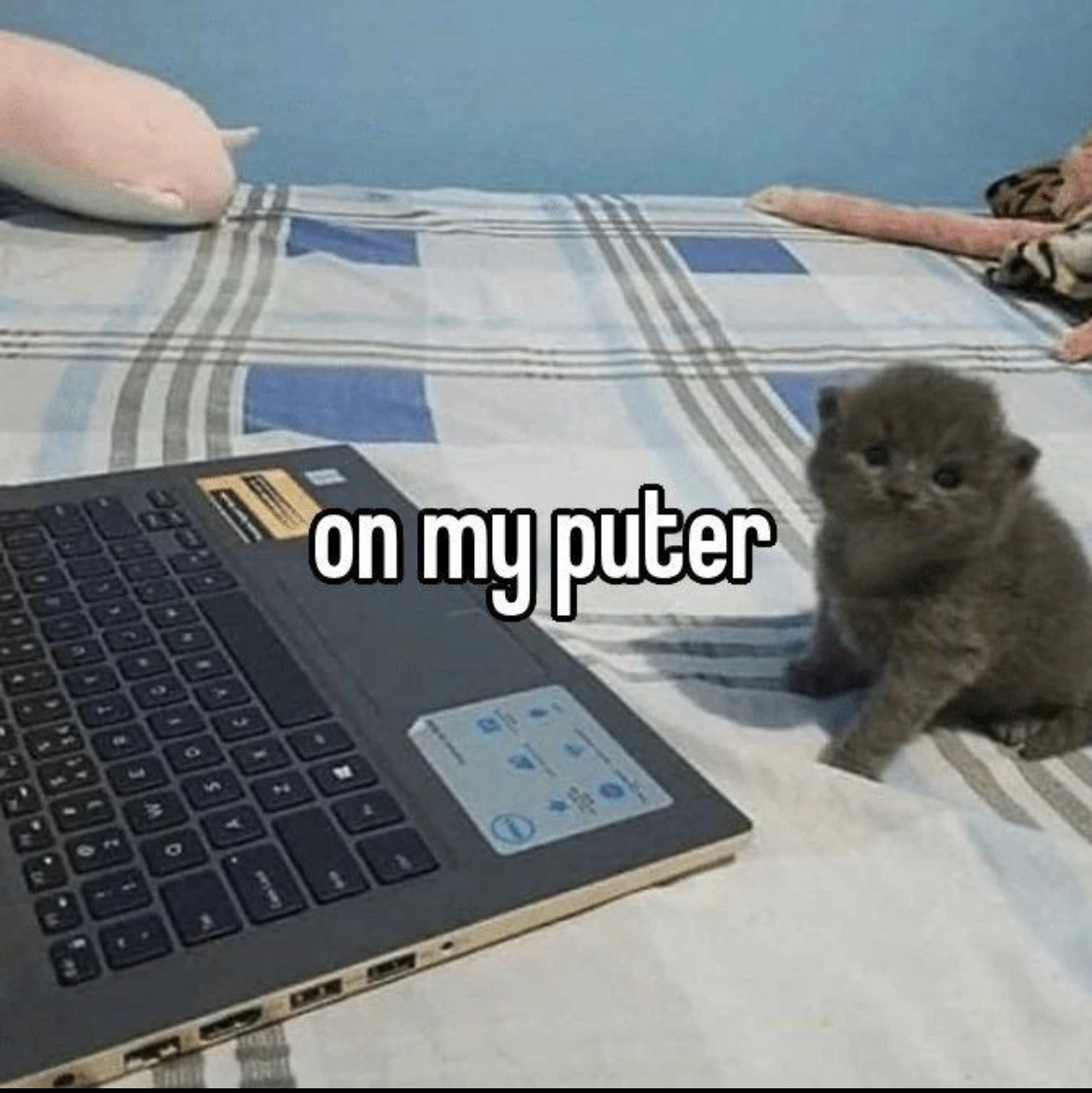 Puter