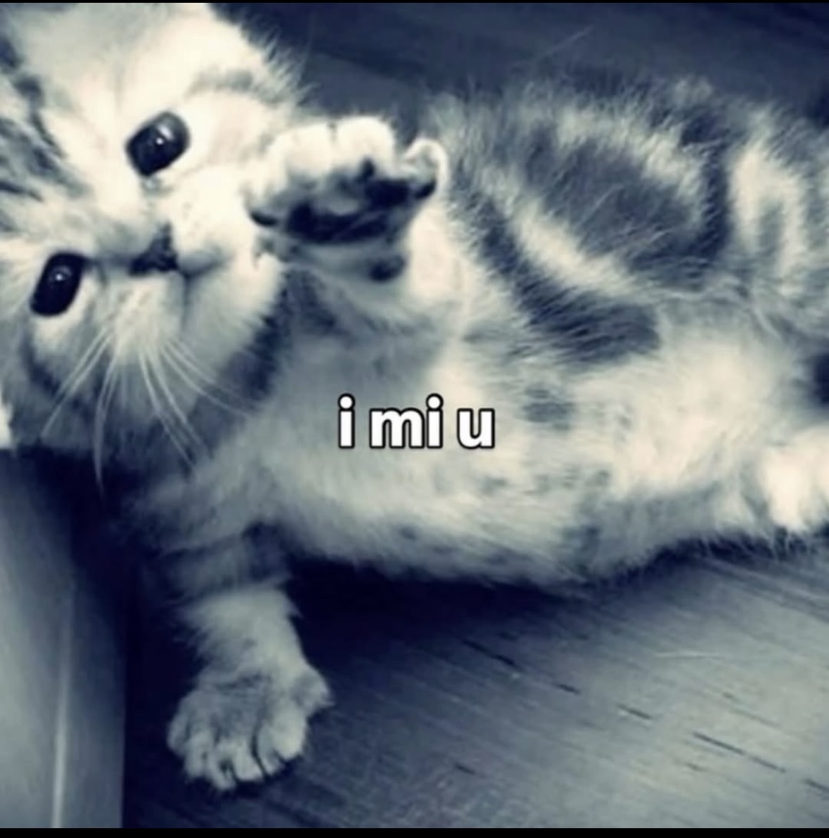 I mi u