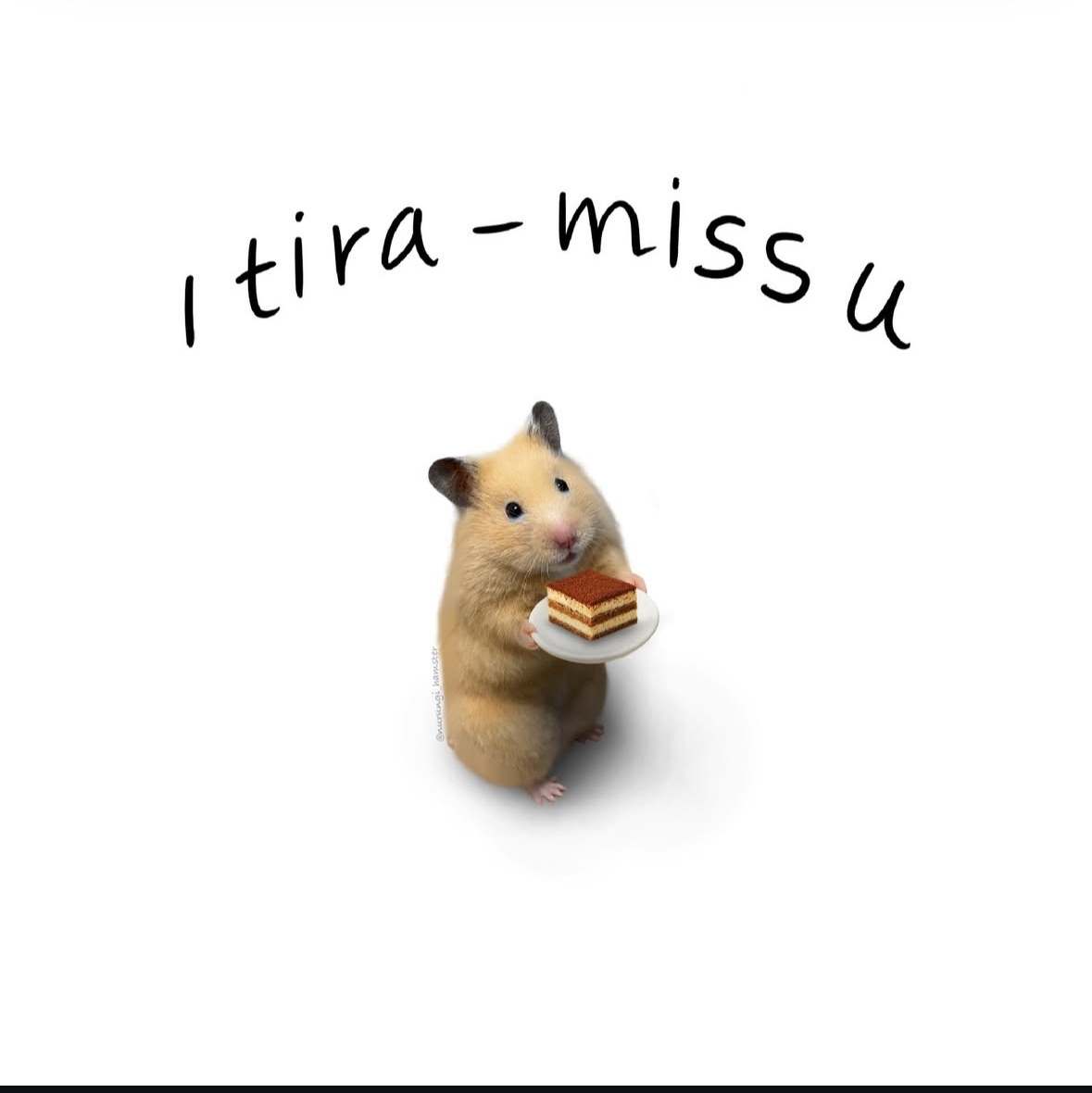 Itiramissu