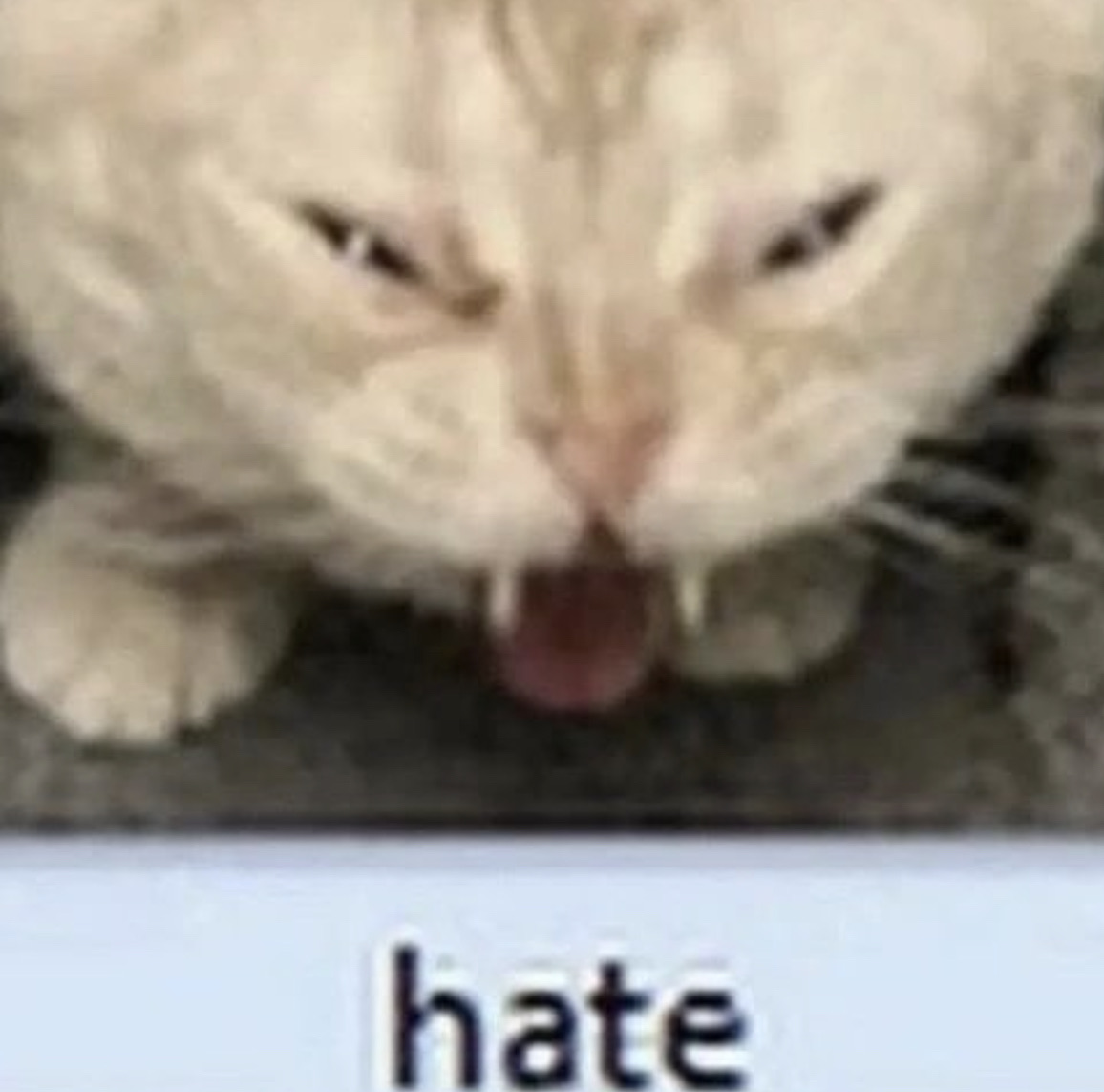 Hate