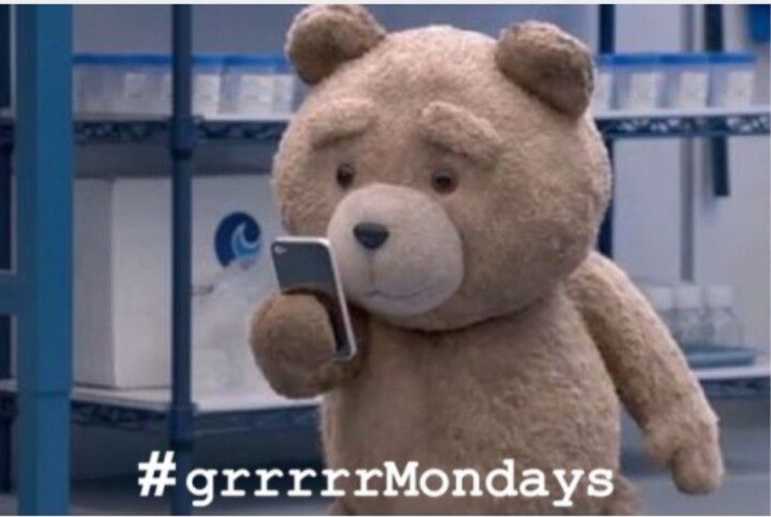 Ted the teddy bear scowling at his phone with '#grrrrMondays'