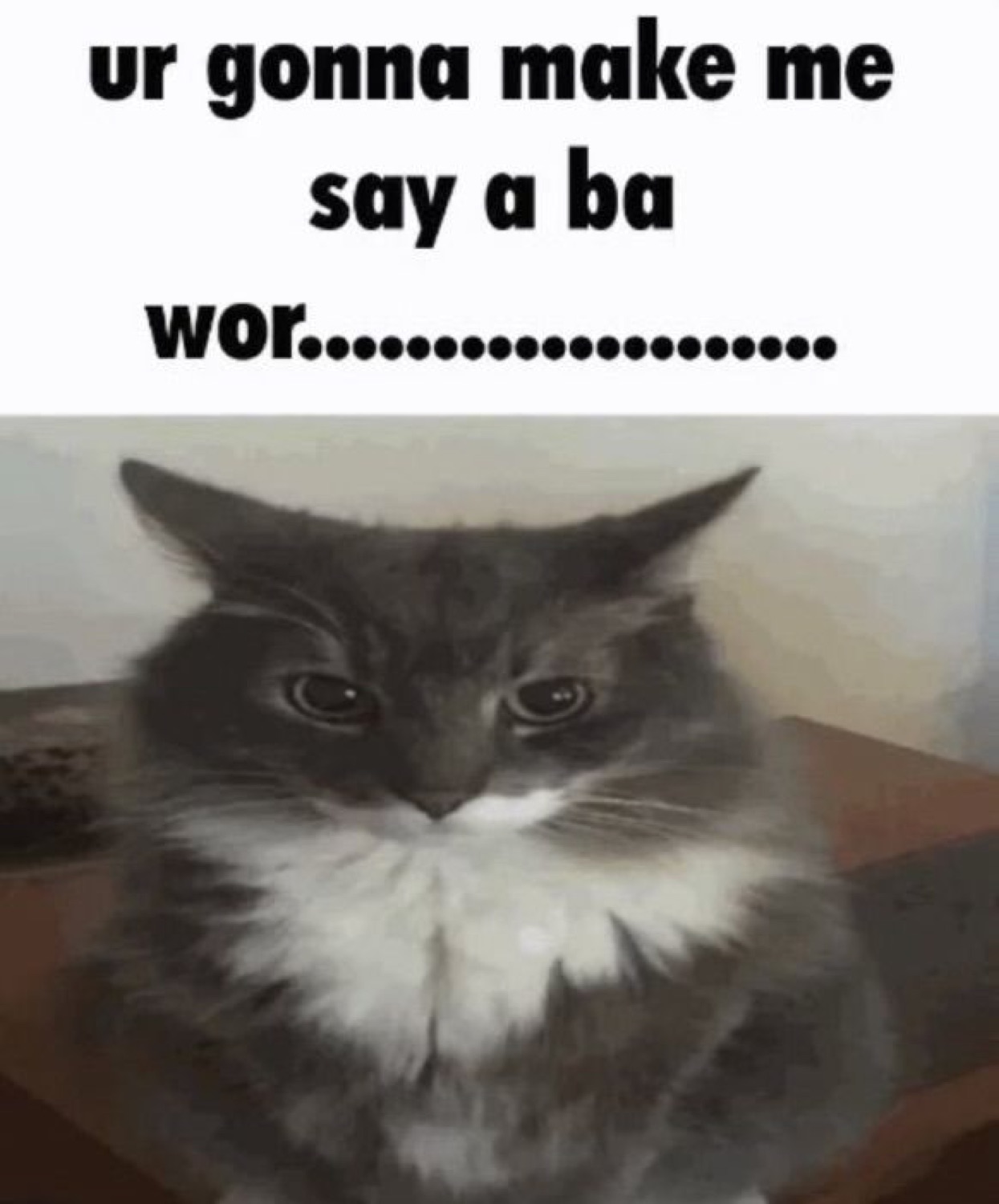 Grumpy cat glaring: 'ur gonna make me say a ba wor......'