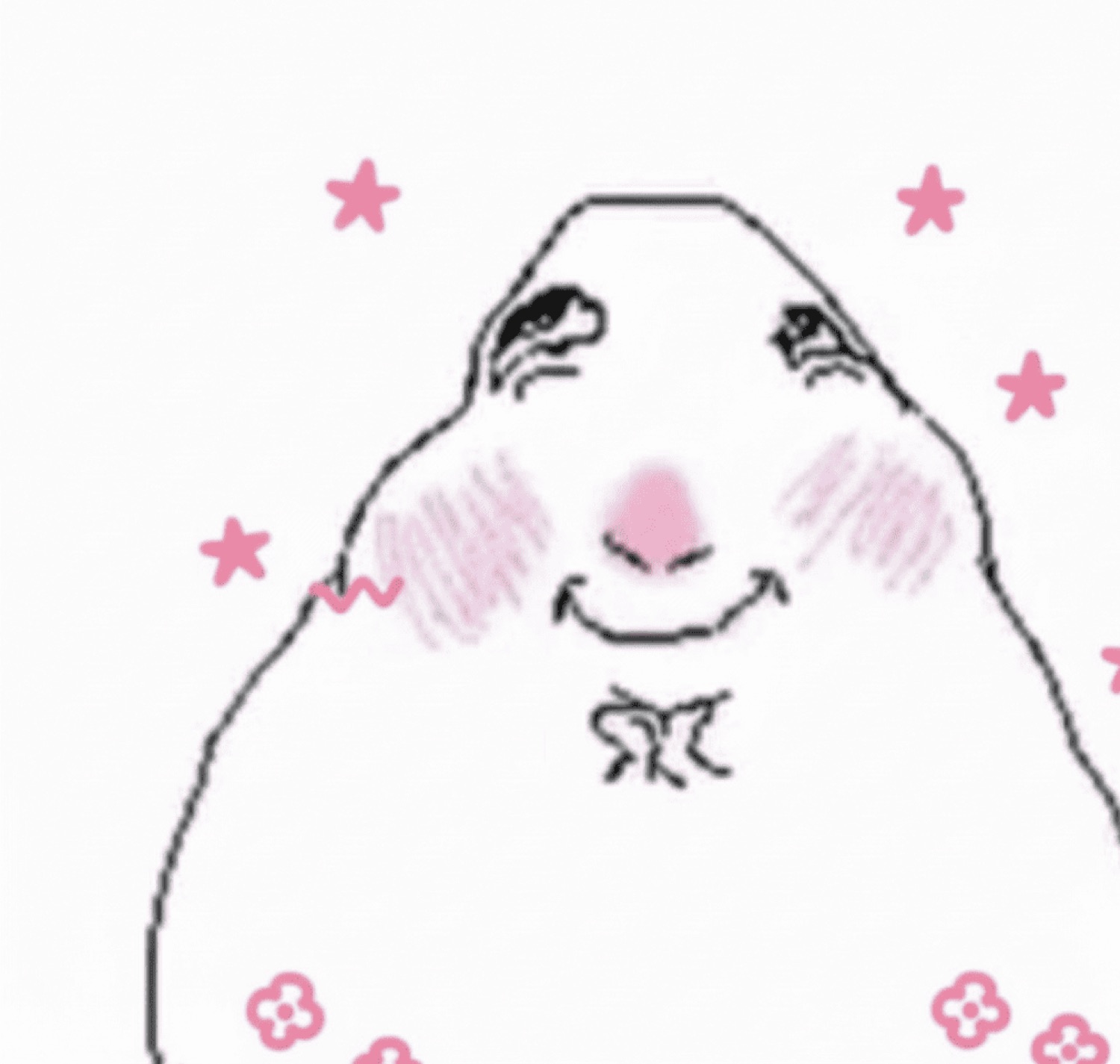 Chubby cartoon guinea pig blushing with rosy cheeks and a shy smile, surrounded by pink stars