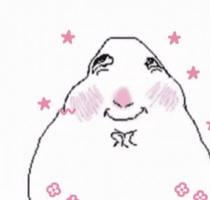 Chubby cartoon guinea pig blushing with rosy cheeks and a shy smile, surrounded by pink stars