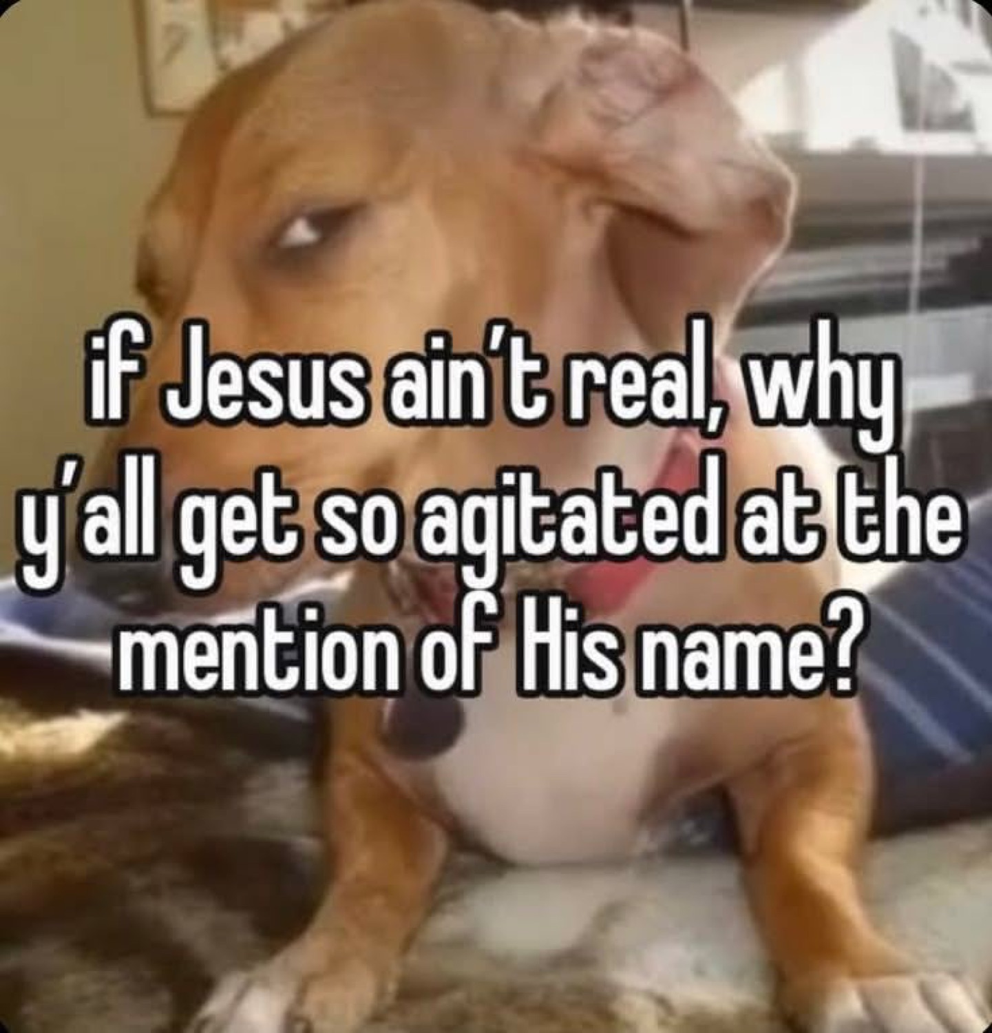 Side-eyeing dog: 'if Jesus ain't real, why y'all get so agitated at the mention of His name?'