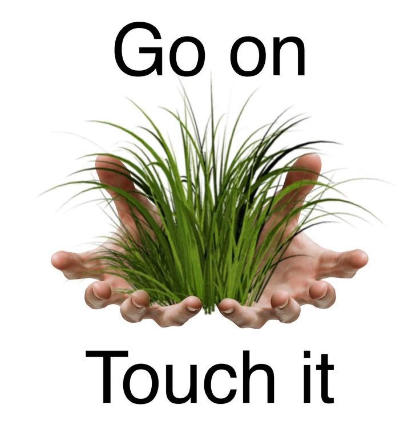 Hands cupping a lush patch of grass with the invitation to go on, touch it