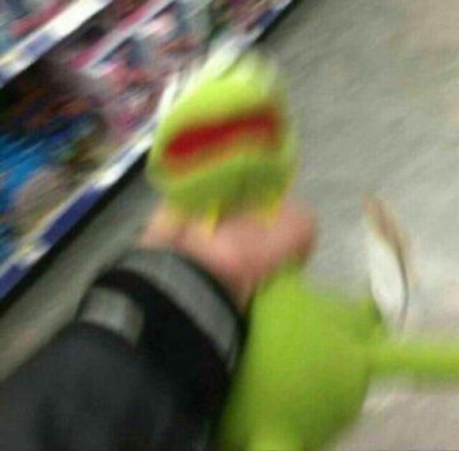 Blurry Kermit the Frog puppet being dragged along a store floor in a chaotic rush