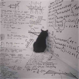 Black cat sitting facing a wall covered in dense handwritten math equations