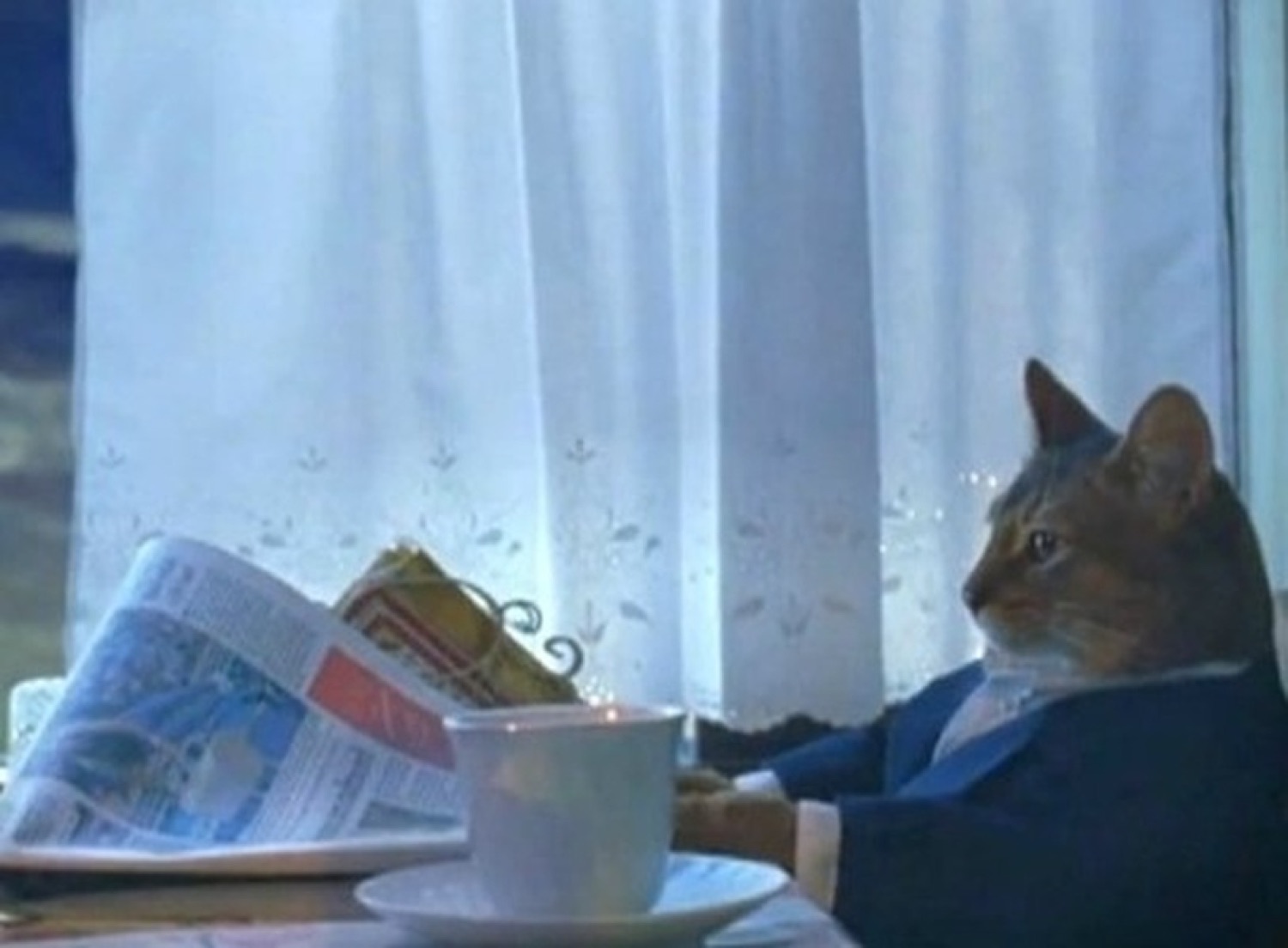 Business cat in a suit gazing out the window with coffee and newspaper, deep in thought
