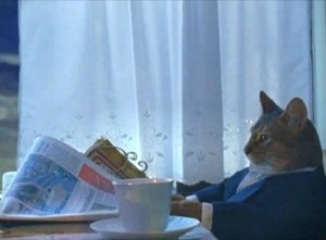 Business cat in a suit gazing out the window with coffee and newspaper, deep in thought