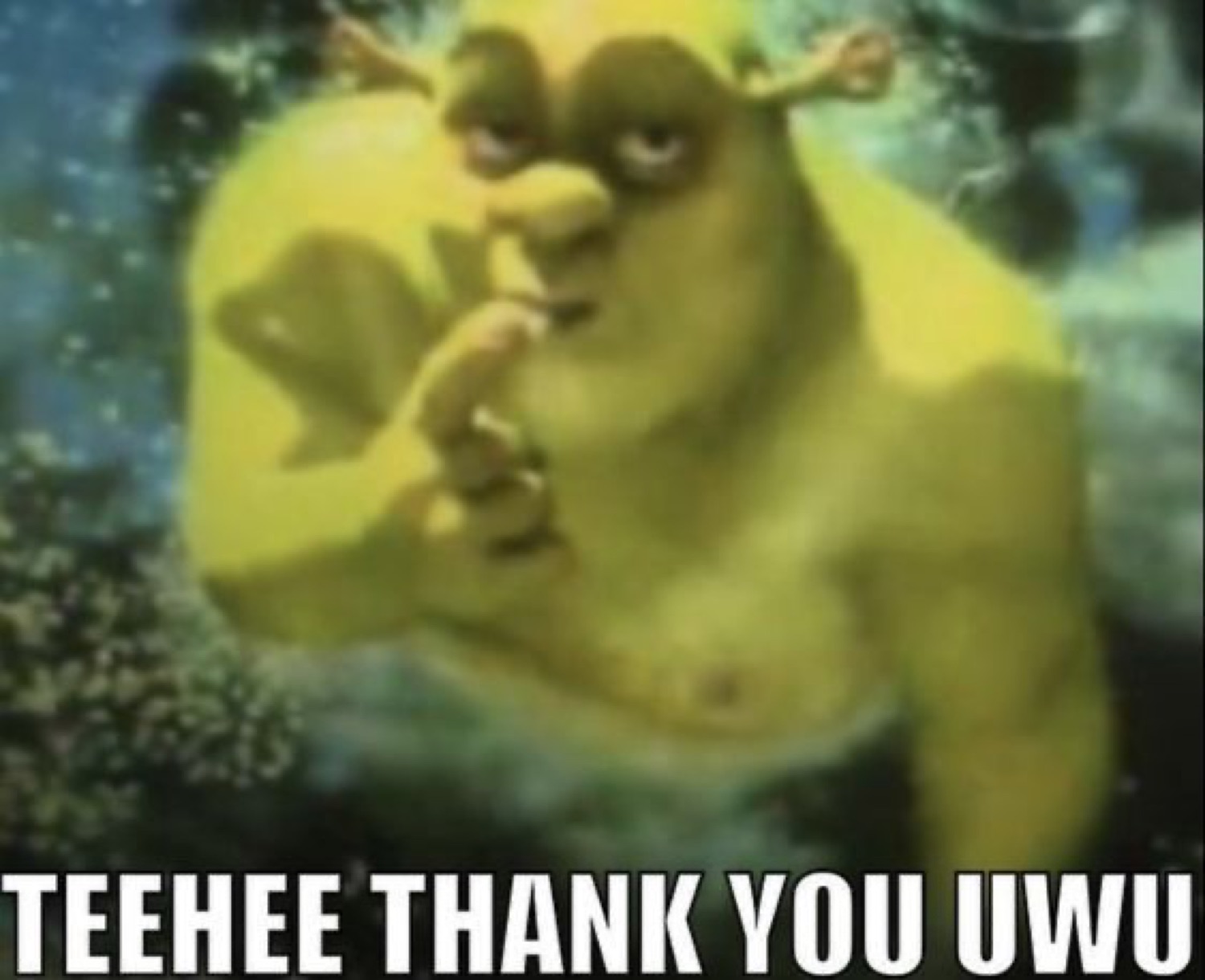 Cursed Shrek with a finger at his lips: 'TEEHEE THANK YOU UWU'
