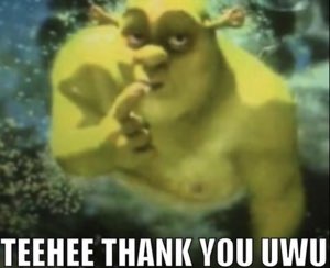 Cursed Shrek with a finger at his lips: 'TEEHEE THANK YOU UWU'