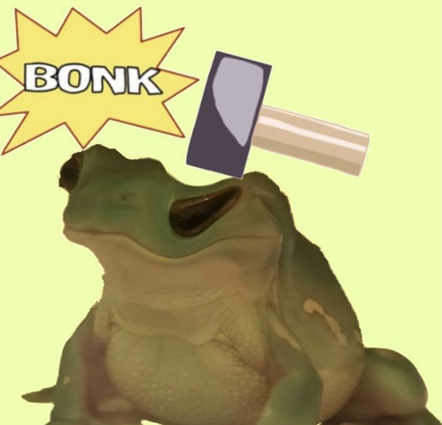 Big frog getting hit with a hammer: 'BONK'